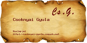 Csoknyai Gyula névjegykártya